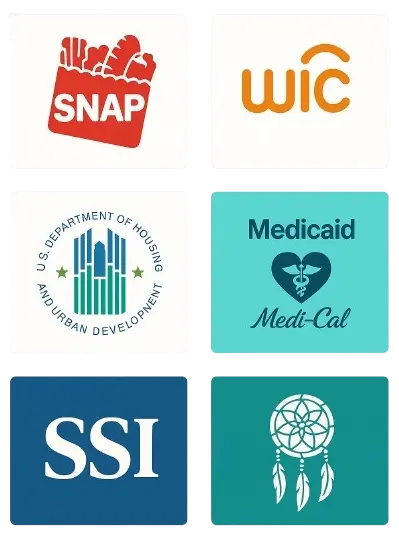 Government Programs